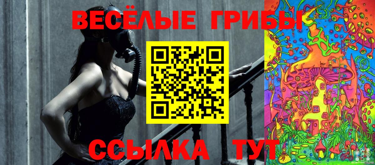 Кохма  Псилоцибиновые грибы Psilocybine cubensis  Вход с VPN 